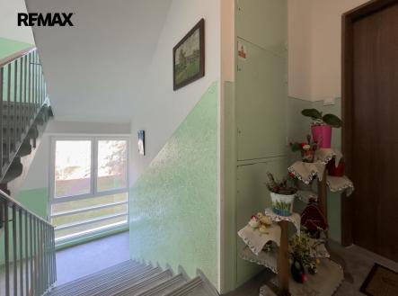 img-0377.jpeg