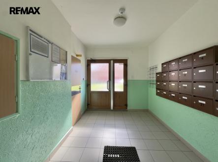img-0383.jpeg