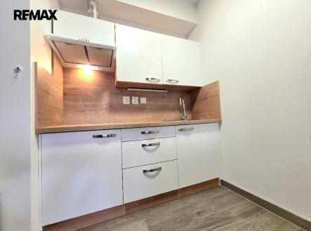 Prodej bytu, 1+kk, 1 668 m²