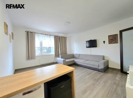 Prodej bytu, 1+kk, 1 668 m²