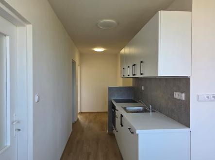 Pronájem bytu, 3+1, 1 000 m²