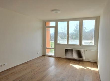 Pronájem bytu, 3+1, 1 000 m²