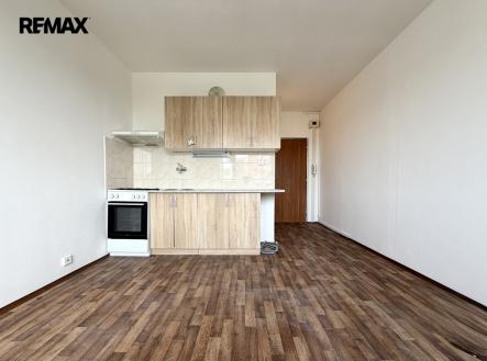 Prodej bytu, 1+1, 35 m²