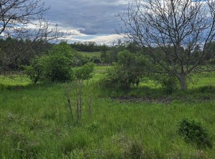 Prodej pozemku, trvalý travní porost, 946 m²