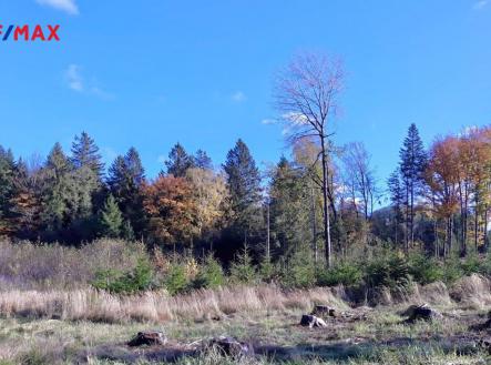 Prodej - pozemek, ostatní, 15 715 m²