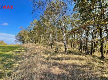 Prodej - pozemek, zemědělská půda, 5 492 m²