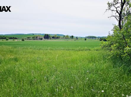 Prodej pozemku pro bydlení, 2 989 m²