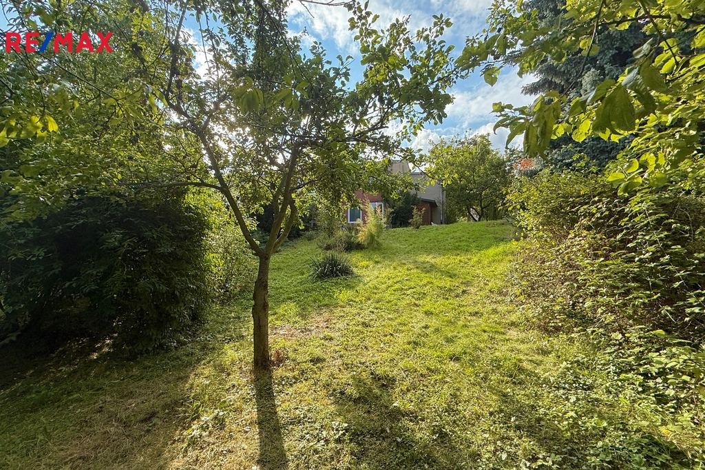 Fotku se nepodařilo načíst.