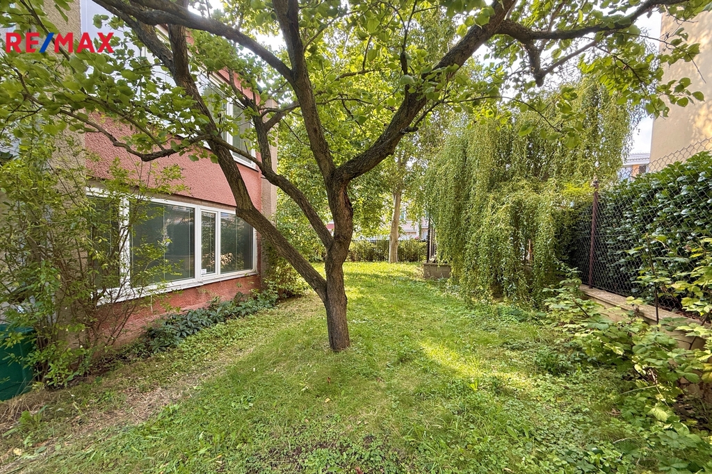 Fotku se nepodařilo načíst.