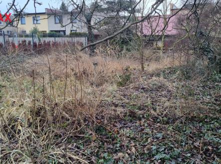 Prodej domu/vily, 50 m²