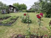 Prodej pozemku, zahrada, 474 m²