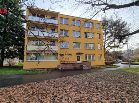 Orchid Casel de Paradise.