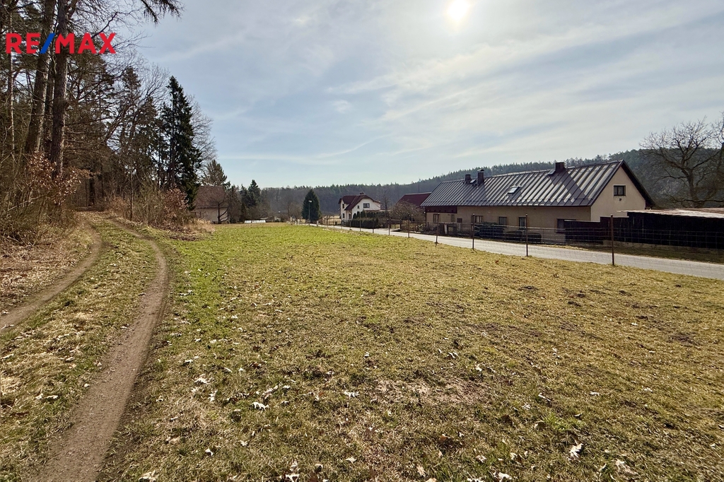 Pohled z lesní cesty