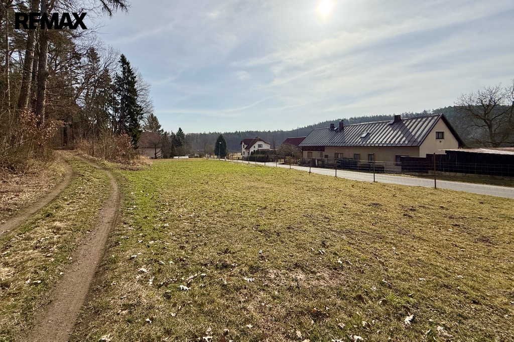 Pohled z lesní cesty