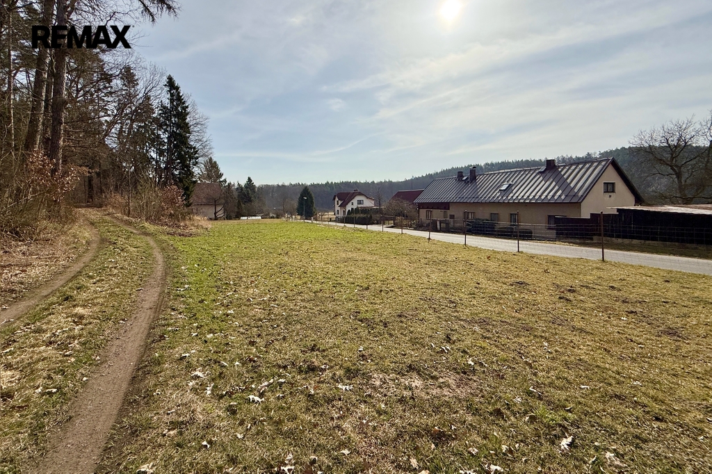 Pohled z lesní cesty