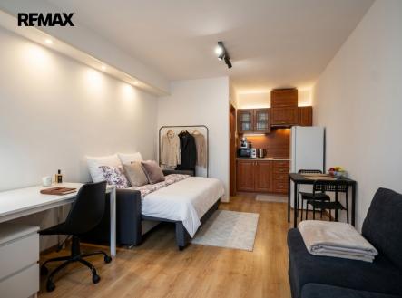 Prodej bytu, 1+kk, 22 m²