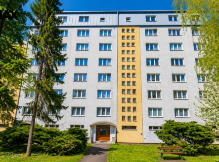 Pronájem bytu, 1+1, 29 m²