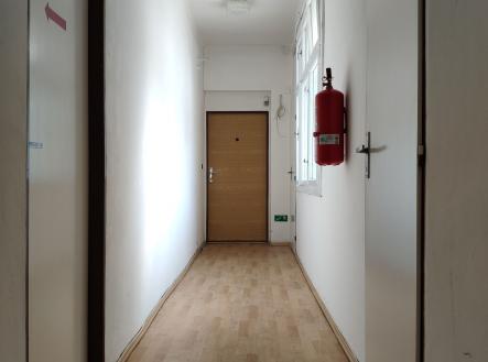 Pronájem - kanceláře, 29 m²