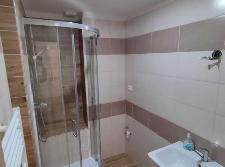 Pronájem bytu, 2+1, 54 m²