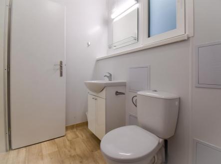 Pronájem bytu, 1+kk, 17 m²