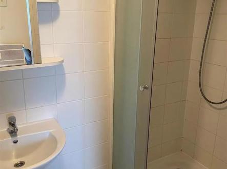 Pronájem bytu, 1+kk, 19 m²