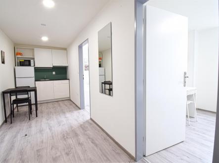 Pronájem bytu, 2+1, 33 m² obrázek