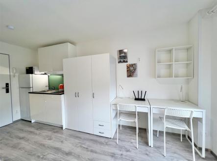 Pronájem bytu, 1+kk, 16 m²