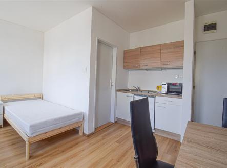 Pronájem bytu, 1+kk, 17 m²