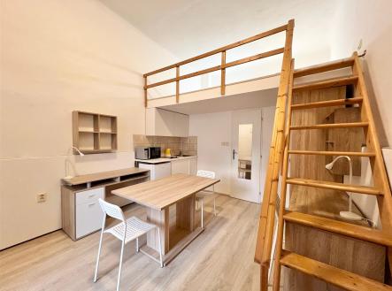 Pronájem bytu, 1+kk, 24 m²