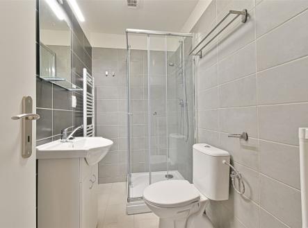 Pronájem bytu, 1+1, 25 m²