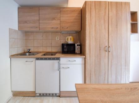 Pronájem bytu, 1+kk, 19 m²