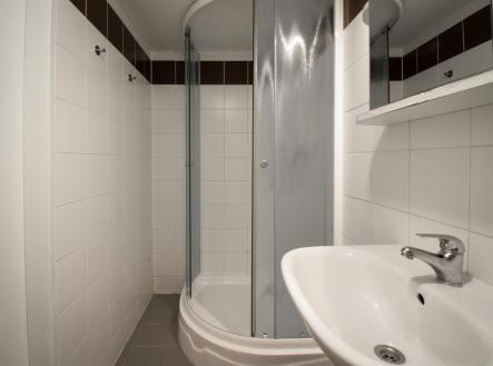 Pronájem bytu, 1+kk, 19 m²