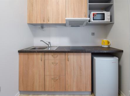 Pronájem bytu, 1+kk, 17 m²