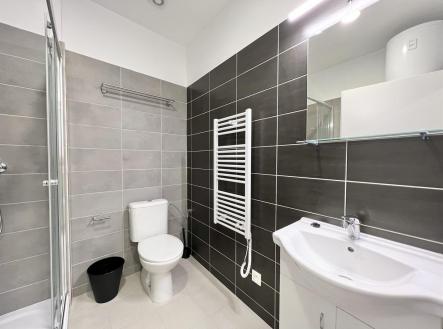 Pronájem bytu, 2+1, 34 m²