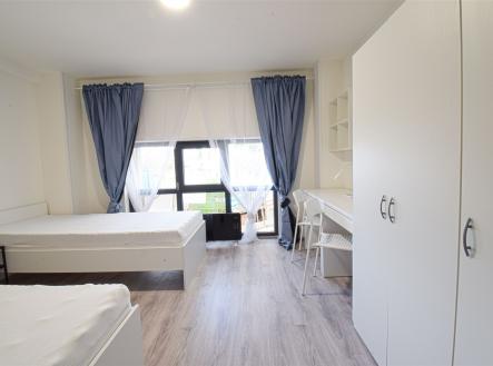 Pronájem bytu, garsoniéra, 16 m²