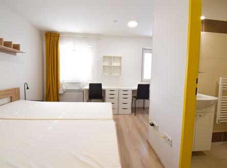 Pronájem bytu, garsoniéra, 18 m²