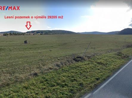 Prodej pozemku, les, 29 205 m²