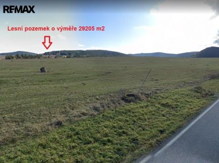 Prodej pozemku, les, 29 205 m²