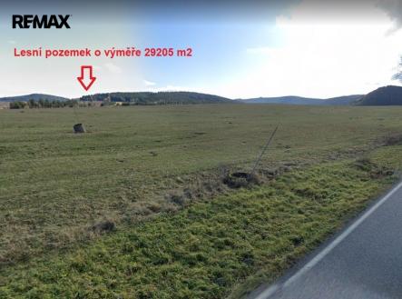 Prodej pozemku, les, 29 205 m²