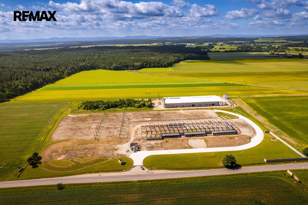 areal-czn-f4-17.07.25.jpg