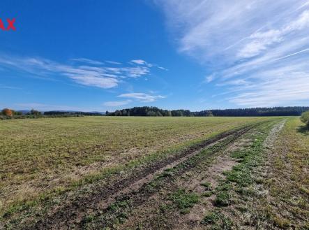 Prodej pozemku pro komerční výstavbu, 41 483 m²