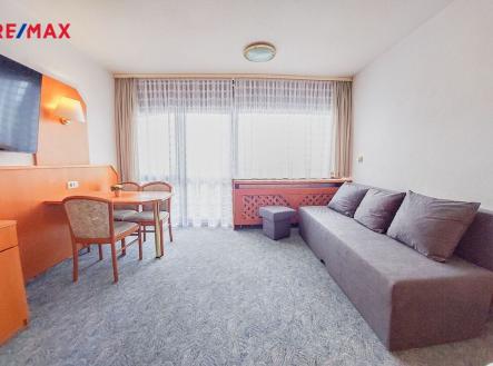 Prodej bytu, 1+kk, 28 m²