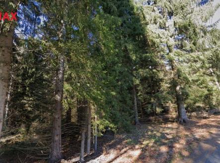 Prodej pozemku, les, 13 934 m²