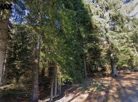 Prodej pozemku, les, 13 934 m²