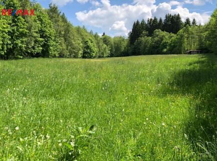 Prodej pozemku, trvalý travní porost, 14 292 m²