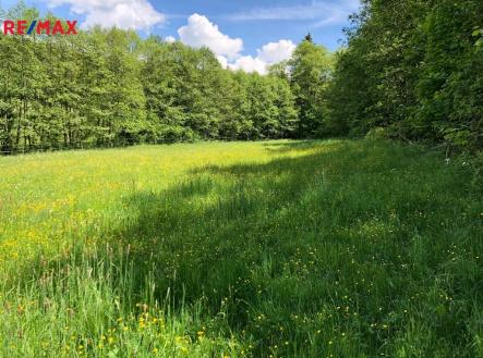 Prodej pozemku, trvalý travní porost, 14 292 m²