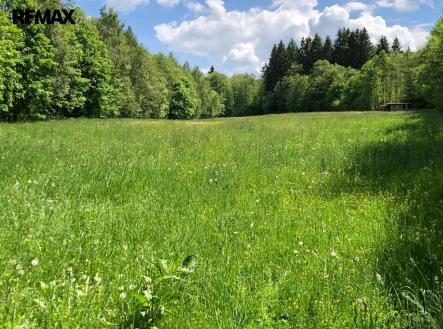 Prodej pozemku, trvalý travní porost, 14 292 m²