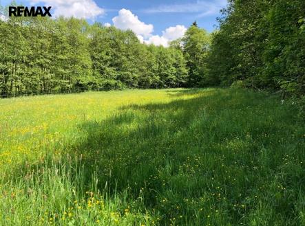 Prodej pozemku, trvalý travní porost, 14 292 m²