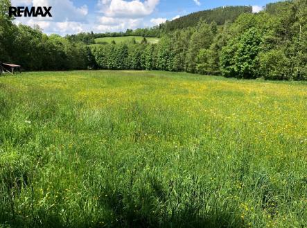 Prodej pozemku, trvalý travní porost, 14 292 m²