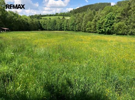 Prodej pozemku, trvalý travní porost, 14 292 m²